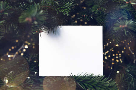 Frame from Xmas tree branches with mock up