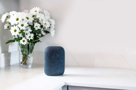 Voice controlled smart speaker