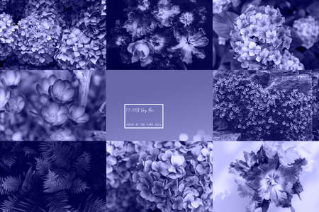 Collage of purple very peri photos