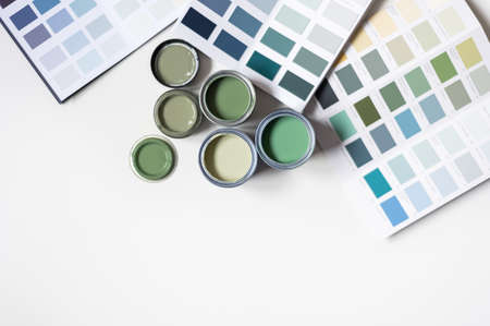 Choosing wall paintsの写真素材