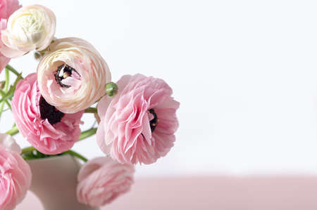 Tender ranunculus flowers in ceramic vaseの写真素材