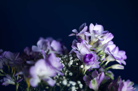 Bouquet of freesia flowersの写真素材