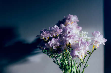 Bouquet of freesia flowersの写真素材