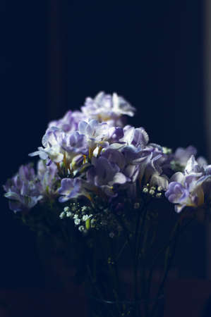Bouquet of freesia flowersの写真素材