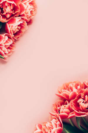 Flower Bouquet from Parrot Tulipsの写真素材