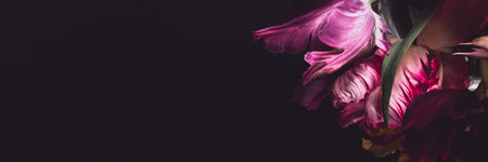 Bunch of Parrot Style Tulipsの写真素材