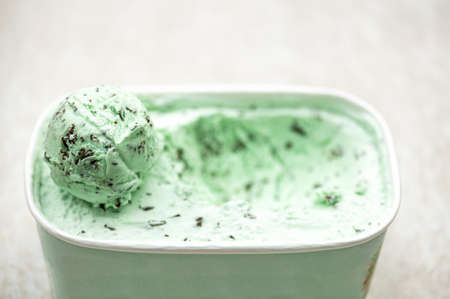 Mint Choc Chip Ice Creamの写真素材