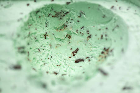Mint Choc Chip Ice Cream