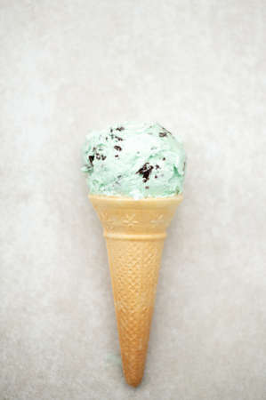 Mint Choc Chip Ice Creamの写真素材