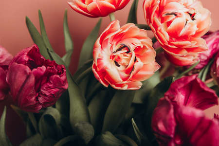 Bunch of Peony Style Tulips
