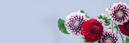 Bunch of dahliasの写真素材