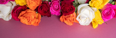 Bunch of colorful roses. Beautiful bouquet of roses in variety of colors on dusty pink background with copy space, banner sizeの写真素材