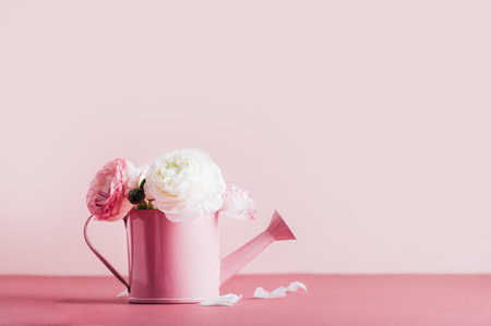 Tender ranunculus flowers in funny vase on pink background with copy space. Bunch of Persian buttercup in floral arrangementsの写真素材