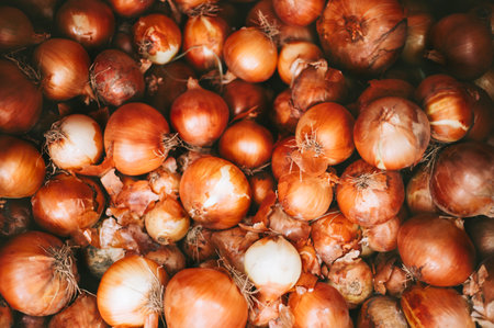 A lot of fresh organic onions on market stall or in groceries shop area. Onion backgroundの写真素材