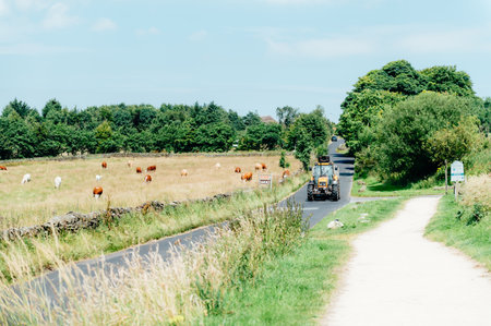Teggs Nose, Ridgegate Reservoir, Trentabank Reservoir Circular, Peak District National Park, England, UKの写真素材