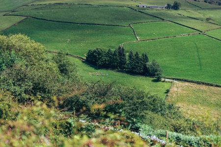Teggs Nose, Ridgegate Reservoir, Trentabank Reservoir Circular, Peak District National Park, England, UKの写真素材