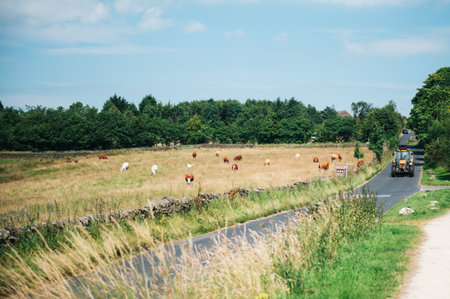 Teggs Nose, Ridgegate Reservoir, Trentabank Reservoir Circular, Peak District National Park, England, UKの写真素材