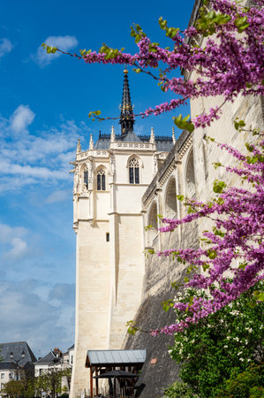 Part of Royal Chateau of Amboise in Amboise, located in the Indre-et-Loire region of Loire Valley in France during spring time and blooming of treesの写真素材