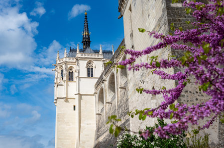 Part of Royal Chateau of Amboise in Amboise, located in the Indre-et-Loire region of Loire Valley in France during spring time and blooming of treesの写真素材