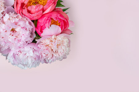 Fresh bunch of pink peonies on pink background. Card Concept, pastel colors, close up image, copy spaceの写真素材