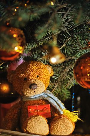 Toy bear with gift under a fur-treeの写真素材