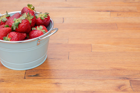 Fresh organic strawberries just picked from the garden in within a beautiful vintage pastel light blue font.の写真素材