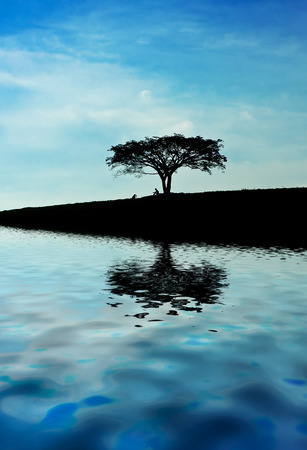 tree standing upright in the middle of the lakeの写真素材