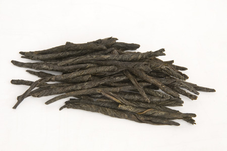 Ilex latifolia Thunb