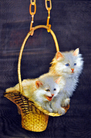 Basket cat white cat embroidery embroidery craft materialsのeditorial素材