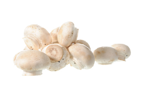 White mushroom isolated on white backgroundの写真素材