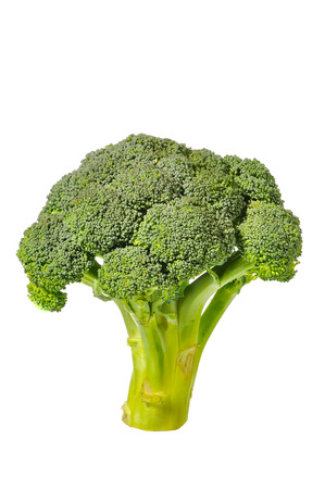 Broccoli isolated on white backgroundの写真素材