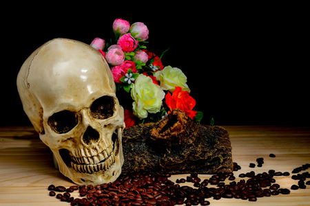 Dark and shadowy human skull in a pool of light and dark backgroundの写真素材