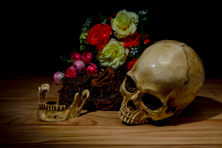 Dark and shadowy human skull in a pool of light and dark backgroundの写真素材