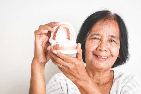 The elderly Asian women hold denture models. Concepts of senior oral health problems and dental careの素材 [FY310152797832]