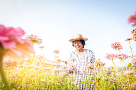 An elderly Asian woman stands in a flower garden enjoying life after retirement. Concepts of the elderly community, health careの写真素材