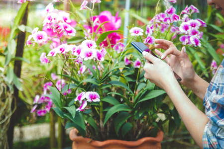 Beautiful girl working flower farm Hold the phone, contact the customerの写真素材