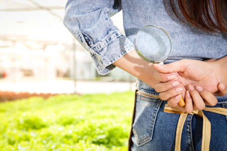 Female farmers hold a magnifying glass to find insects and check the quality of vegetables in the greenhouse. Grown with hydroponic systems Modern technologyの写真素材