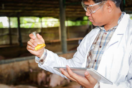 Pig disease researchers hold a chemical experiment bottle to help farmers develop vaccines. Prevent...