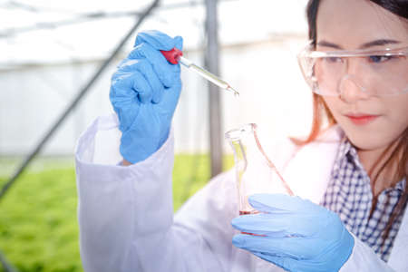 Beautiful woman, a plant researcher, is doing scientific experiments in the vegetable garden.の写真素材