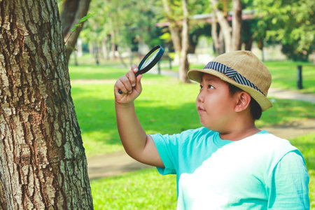 Boy holding a magnifying glass Study natureの写真素材
