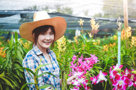 Asian women wearing long sleeved plaid shirts. Orchid Garden Owner Export sales abroad She stands to take care of them.の写真素材