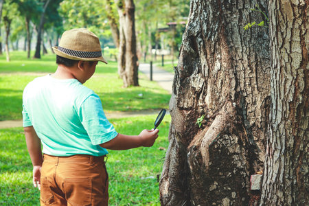 The boy is curious. Use a magnifying glass to look at the tree. In school hoursの写真素材