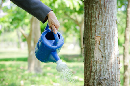 Businessmen holding cans of watering plants to make trees grow and become stronger.の写真素材