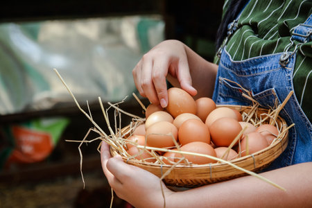 Women holding a basket of eggs from the farmの写真素材