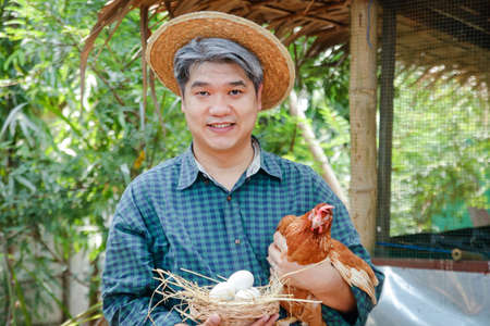 Farmers do chemical-free farming by holding an egg basket and the hens he raised.の写真素材