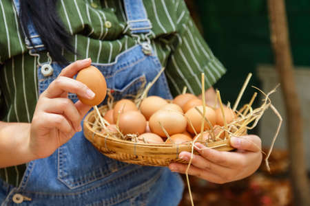 Farmers make organic eggs Show non-toxic productsの写真素材