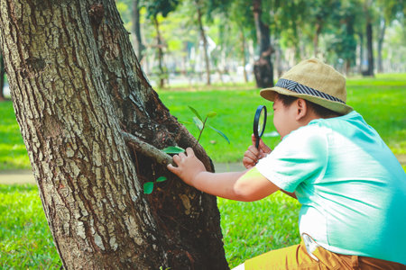 Boys studying in elementary school, wearing a hat, holding a magnifying glass to illuminate treesの写真素材