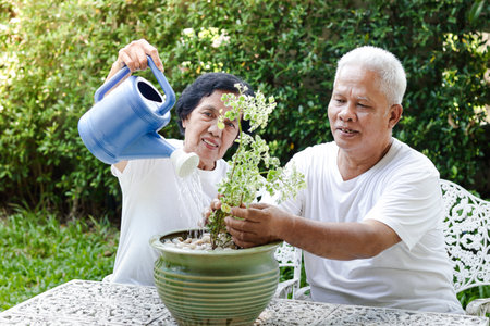 Elderly Asian Couple Help planting trees in green pots It's on the front lawn. The concept of a happy family Health care after retirement. Elderly communityの写真素材