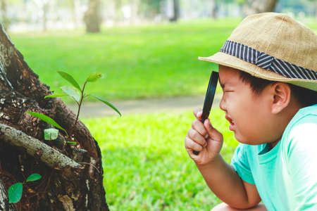 Boy holding a magnifying glassの写真素材