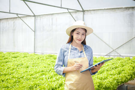 Asian female farmer Hydroponics farming Recording the output data. Agricultural concept using modern vegetable growing technology in greenhouses. Copy spaceの写真素材